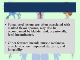 • Spinal cord lesions are often associated with
marked flexor spasms, may also be
accompanied by bladder and, occasionally,
fecal incontinence.
• Other features include muscle weakness,
muscle slowness, impaired dexterity, and
fatigability.
 