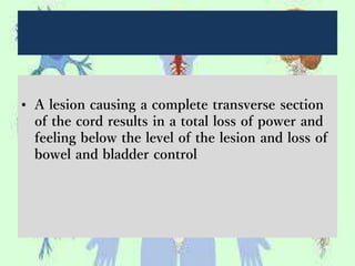 • A lesion causing a complete transverse section
of the cord results in a total loss of power and
feeling below the level of the lesion and loss of
bowel and bladder control
 