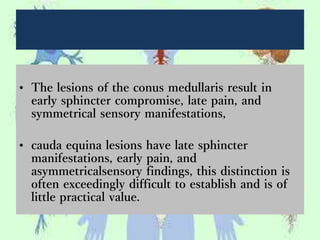• The lesions of the conus medullaris result in
early sphincter compromise, late pain, and
symmetrical sensory manifestations,
• cauda equina lesions have late sphincter
manifestations, early pain, and
asymmetricalsensory findings, this distinction is
often exceedingly difficult to establish and is of
little practical value.
 