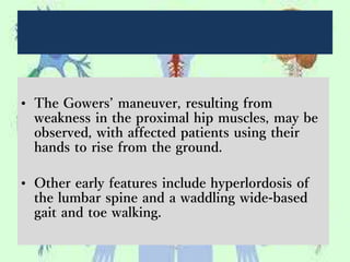 • The Gowers’ maneuver, resulting from
weakness in the proximal hip muscles, may be
observed, with affected patients using their
hands to rise from the ground.
• Other early features include hyperlordosis of
the lumbar spine and a waddling wide-based
gait and toe walking.
 