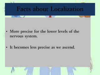 Facts about Localization
• More precise for the lower levels of the
nervous system.
• It becomes less precise as we ascend.
 
