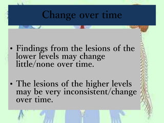 Change over time
• Findings from the lesions of the
lower levels may change
little/none over time.
• The lesions of the higher levels
may be very inconsistent/change
over time.
 