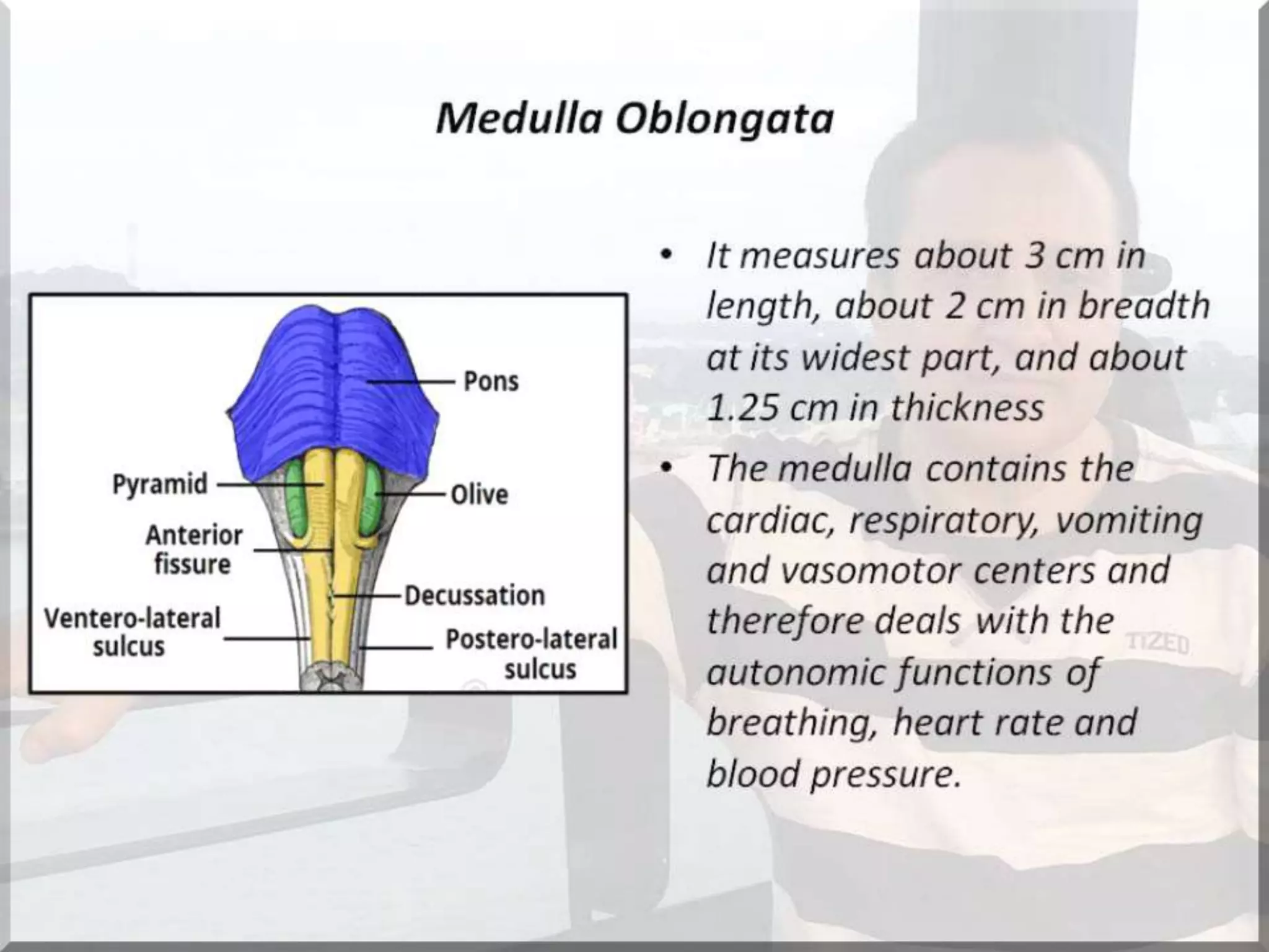 Localization of brainstem lesion by Prof Dr Bashir Ahmed Dar Sopore Kashmir