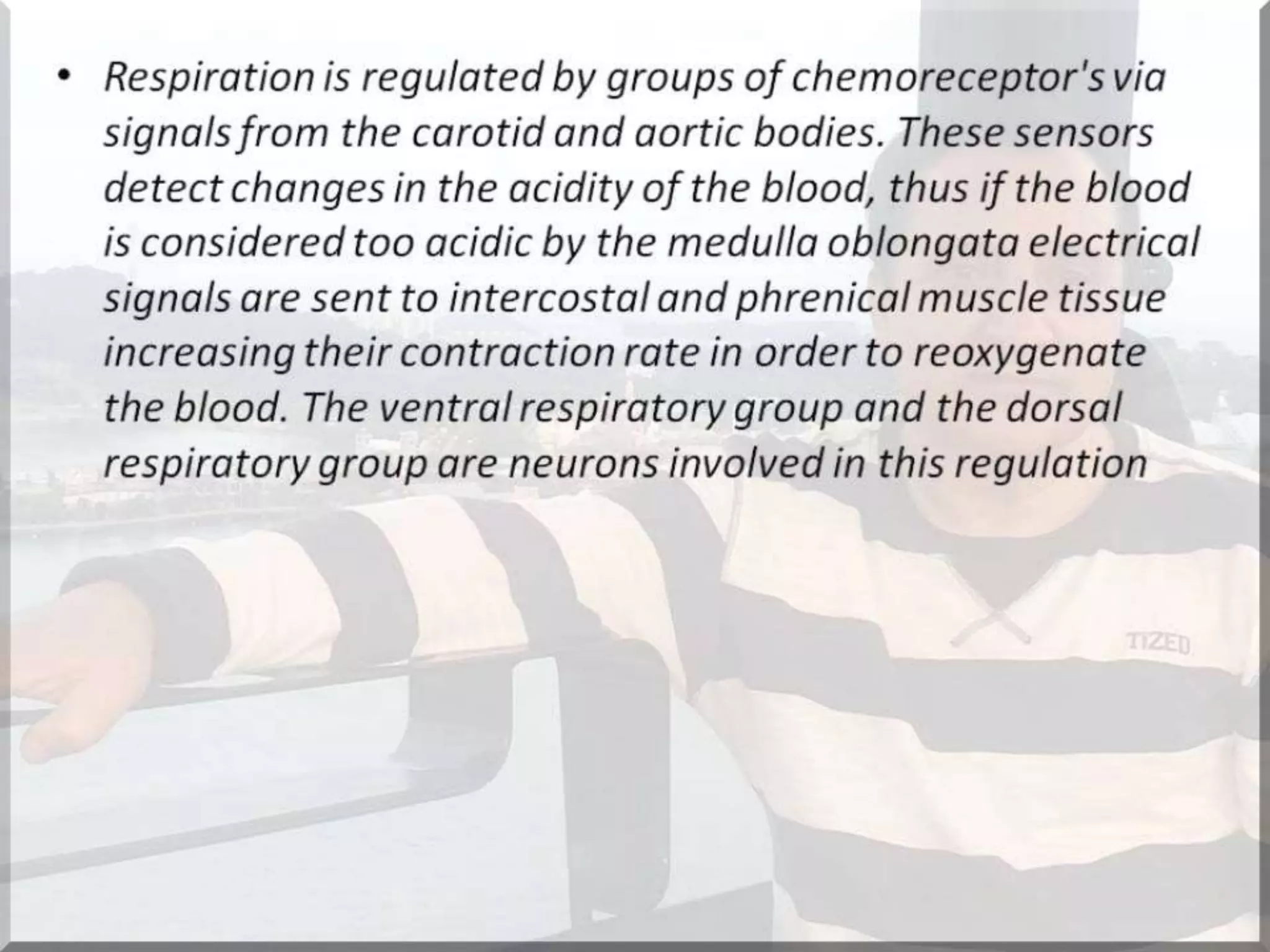 Localization of brainstem lesion by Prof Dr Bashir Ahmed Dar Sopore Kashmir