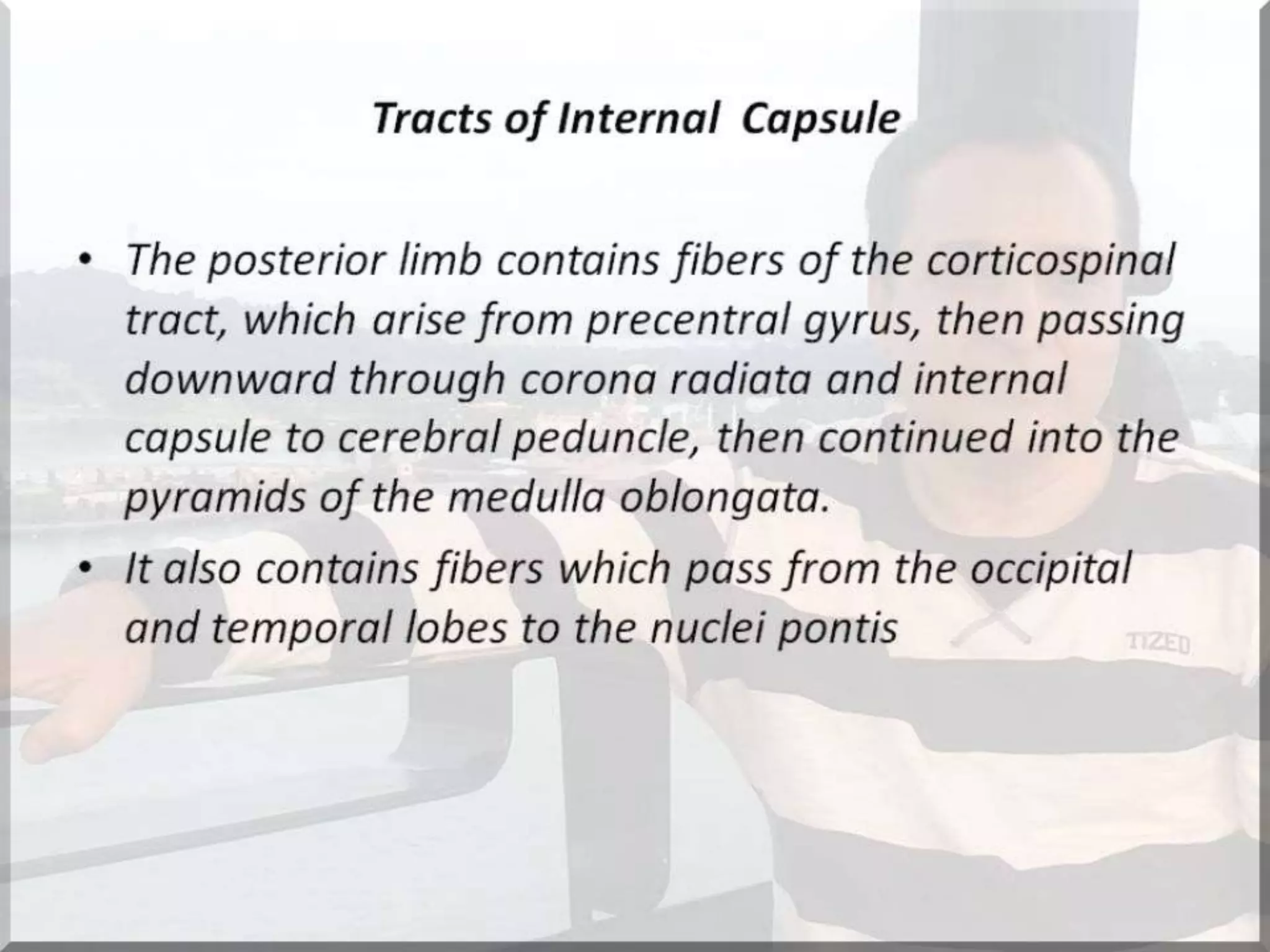 Localization of brainstem lesion by Prof Dr Bashir Ahmed Dar Sopore Kashmir
