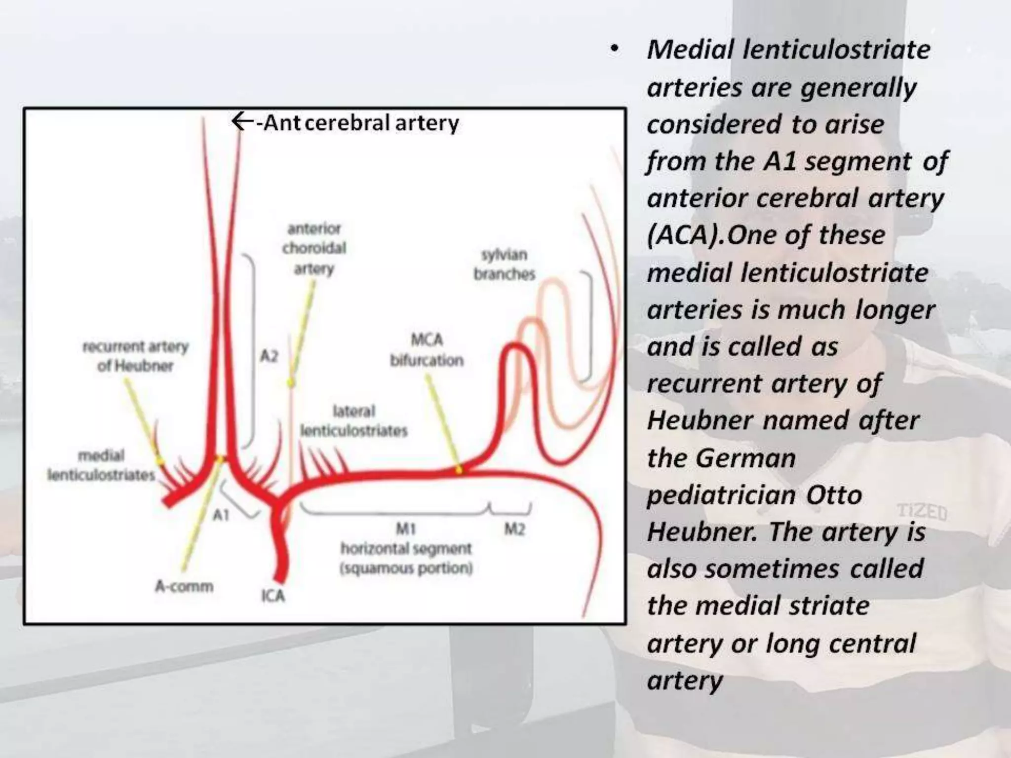 Localization of brainstem lesion by Prof Dr Bashir Ahmed Dar Sopore Kashmir