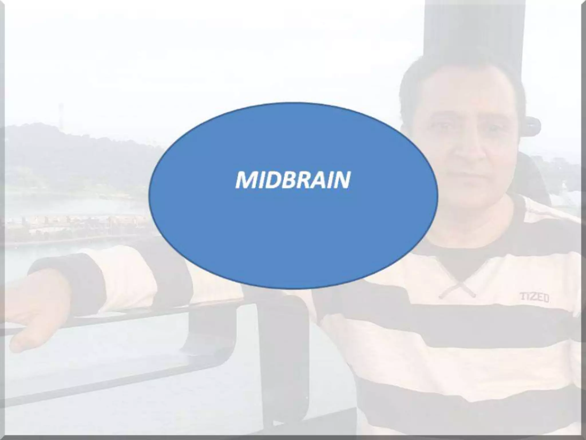 Localization of brainstem lesion by Prof Dr Bashir Ahmed Dar Sopore Kashmir