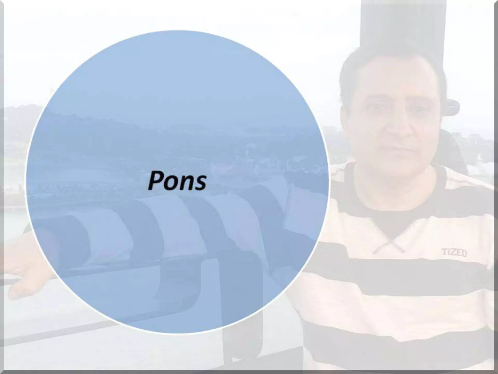 Localization of brainstem lesion by Prof Dr Bashir Ahmed Dar Sopore Kashmir