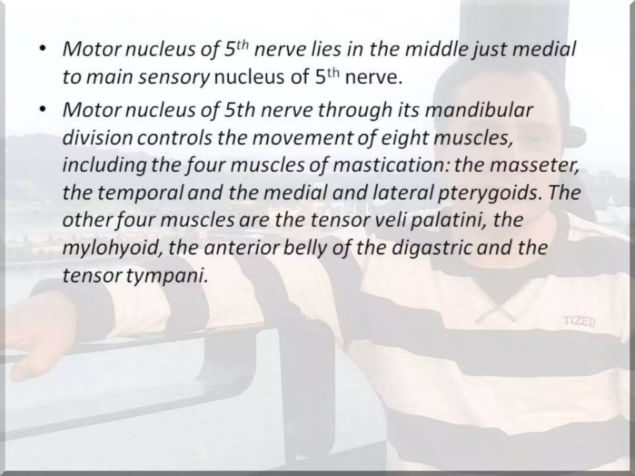 Localization of brainstem lesion by Prof Dr Bashir Ahmed Dar Sopore Kashmir