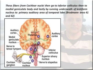 Localization of brainstem lesion by Prof Dr Bashir Ahmed Dar Sopore ...