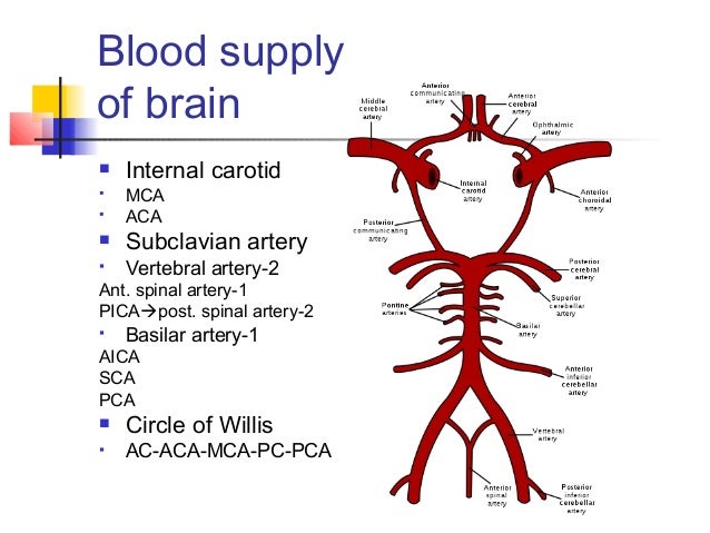 aica vs pica syndrome aica vs pica syndrome