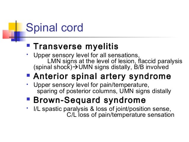 Localization in neurology 2