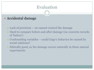 Evaluation
 Accidental damage
 Lack of precision – we cannot control the damage
 Hard to compare before and after damage (no concrete records
of „before‟)
 Confounding variables – could Gage‟s behavior be caused by
social relations?
 Ethically good, as the damage occurs naturally in these natural
experiments
 
