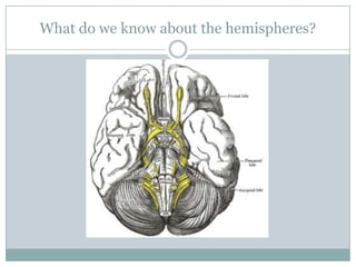 What do we know about the hemispheres?
 