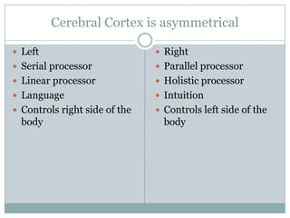 Cerebral Cortex is asymmetrical
 Left
 Serial processor
 Linear processor
 Language
 Controls right side of the
body
 Right
 Parallel processor
 Holistic processor
 Intuition
 Controls left side of the
body
 
