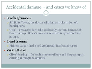  Strokes/tumors
 Jill Bolte Taylor, the doctor who had a stroke in her left
hemisphere.
 „Tan‟ – Broca‟s patient who could only say „tan‟ because of
brain damage. Broca‟s area was revealed in (postmortem)
autopsy
 Head trauma
 Phineas Gage – had a rod go through his frontal cortex
 Viral attacks
 Clive Wearing – „flu‟ on his temporal lobe and hippocampus
causing anterograde amnesia
Accidental damage – and cases we know of
 