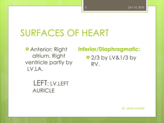 SURFACES OF HEART <ul><li>Anterior: Right atrium, Right ventricle partly by LV,LA.   LEFT : LV,LEFT  AURICLE   </li></ul><...