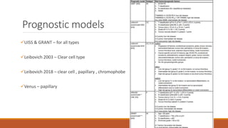 Uiss Model Rcc LOCALIZED RCC.pptx