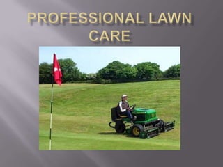 PROFESSIONAL Lawn care 
