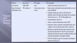 Prostate 
and 
Seminal 
Vesicles 
 
