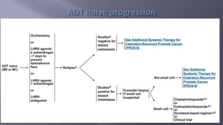 Locally Advanced Carcinoma Prostate