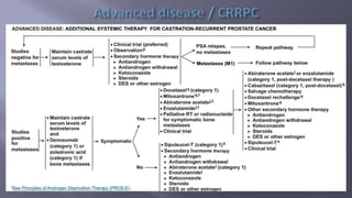 Locally Advanced Carcinoma Prostate