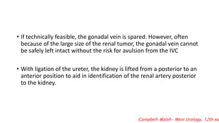 Locally advanced renal cell carcinoma RCC | PPTX