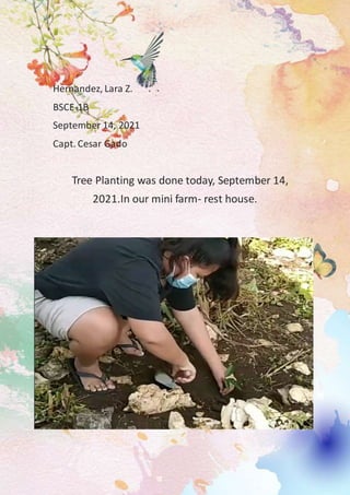 Hernandez, Lara Z.
BSCE-1B
September 14, 2021
Capt. Cesar Gado
Tree Planting was done today, September 14,
2021.In our mini farm- rest house.
 