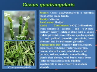 LOCAL MEDICINAL PLANTS FOUND IN SIKKIM HIMALAYA | PPT