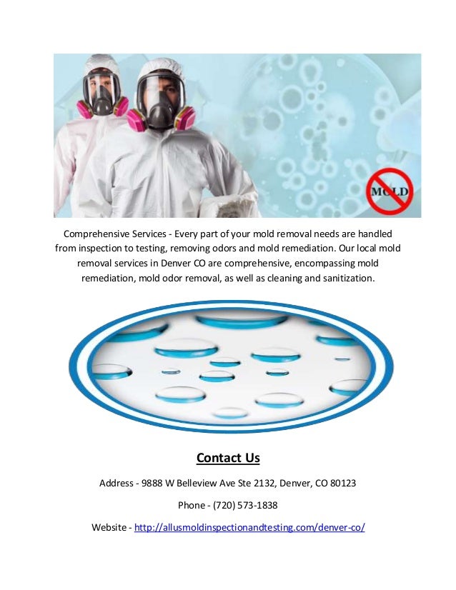 Local Mold Testing & Mold Remediation in Denver, CO