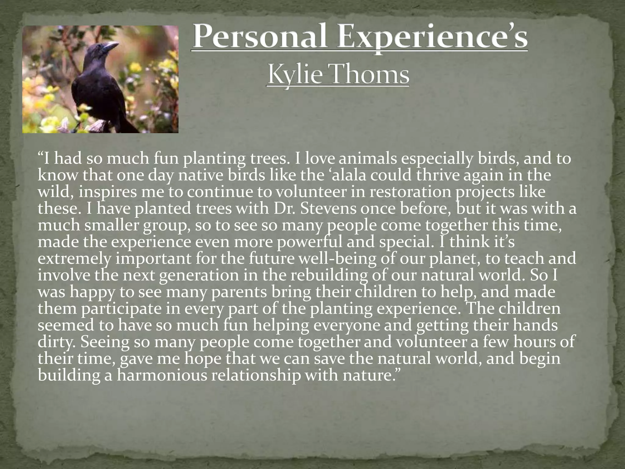 “I had so much fun planting trees. I love animals especially birds, and to
know that one day native birds like the ‘alala could thrive again in the
wild, inspires me to continue to volunteer in restoration projects like
these. I have planted trees with Dr. Stevens once before, but it was with a
much smaller group, so to see so many people come together this time,
made the experience even more powerful and special. I think it’s
extremely important for the future well-being of our planet, to teach and
involve the next generation in the rebuilding of our natural world. So I
was happy to see many parents bring their children to help, and made
them participate in every part of the planting experience. The children
seemed to have so much fun helping everyone and getting their hands
dirty. Seeing so many people come together and volunteer a few hours of
their time, gave me hope that we can save the natural world, and begin
building a harmonious relationship with nature.”
 