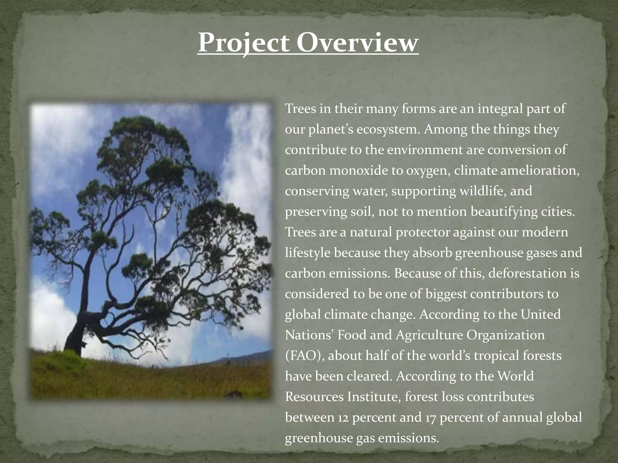 Trees in their many forms are an integral part of
our planet’s ecosystem. Among the things they
contribute to the environment are conversion of
carbon monoxide to oxygen, climate amelioration,
conserving water, supporting wildlife, and
preserving soil, not to mention beautifying cities.
Trees are a natural protector against our modern
lifestyle because they absorb greenhouse gases and
carbon emissions. Because of this, deforestation is
considered to be one of biggest contributors to
global climate change. According to the United
Nations' Food and Agriculture Organization
(FAO), about half of the world’s tropical forests
have been cleared. According to the World
Resources Institute, forest loss contributes
between 12 percent and 17 percent of annual global
greenhouse gas emissions.
Project Overview
 