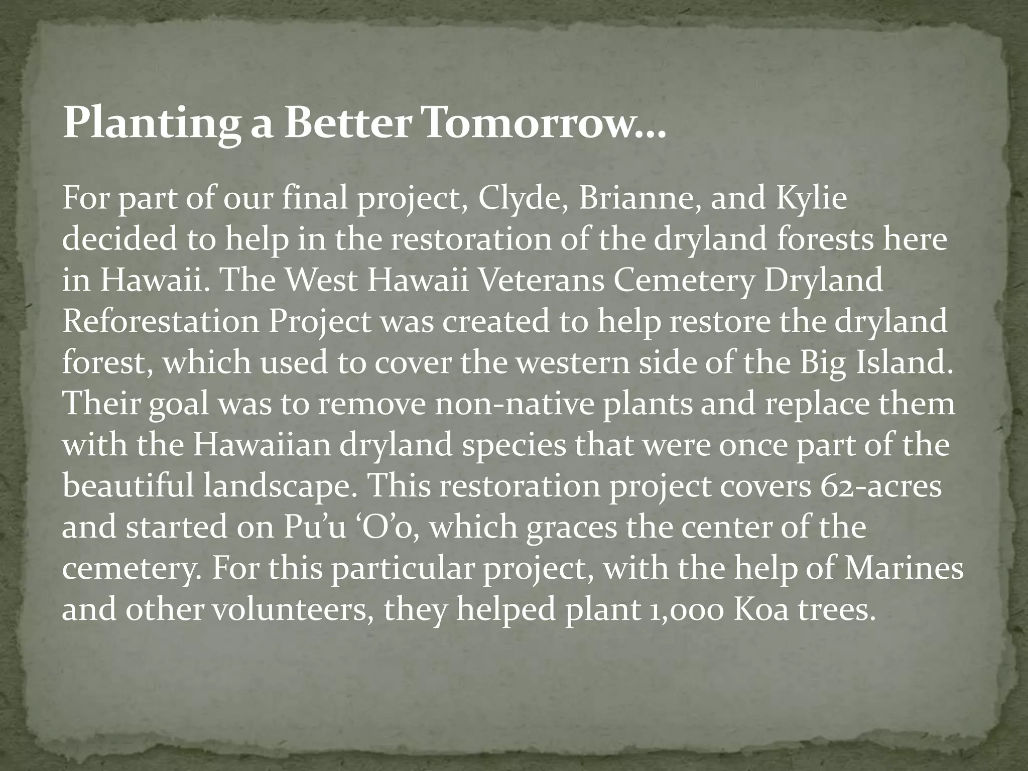 For part of our final project, Clyde, Brianne, and Kylie
decided to help in the restoration of the dryland forests here
in Hawaii. The West Hawaii Veterans Cemetery Dryland
Reforestation Project was created to help restore the dryland
forest, which used to cover the western side of the Big Island.
Their goal was to remove non-native plants and replace them
with the Hawaiian dryland species that were once part of the
beautiful landscape. This restoration project covers 62-acres
and started on Pu’u ‘O’o, which graces the center of the
cemetery. For this particular project, with the help of Marines
and other volunteers, they helped plant 1,000 Koa trees.
Planting a BetterTomorrow…
 