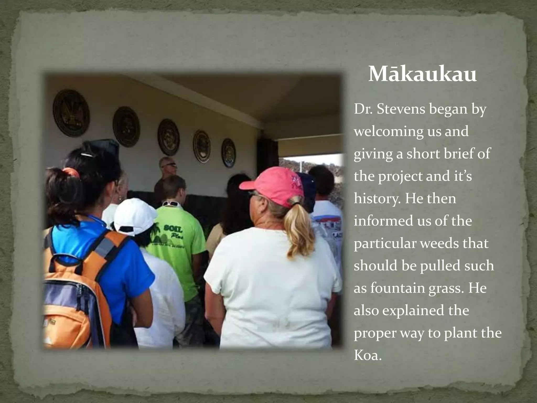 Mākaukau
Dr. Stevens began by
welcoming us and
giving a short brief of
the project and it’s
history. He then
informed us of the
particular weeds that
should be pulled such
as fountain grass. He
also explained the
proper way to plant the
Koa.
 