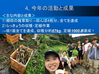 4, 今年の活動と成果
＜主な内容と成果＞
1）棚田の雑草取り→田んぼ4枚分、全てを達成
2）らっきょうの収穫・定植作業
→畑1面全てを達成、収穫分約67kg、定植1000本達成！
 