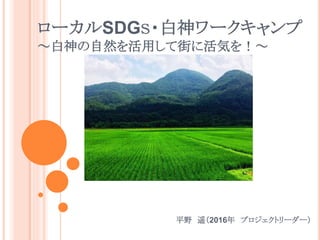 ローカルSDGＳ・白神ワークキャンプ
～白神の自然を活用して街に活気を！～
平野 遥（2016年 プロジェクトリーダー）
 