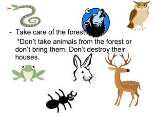 -  Take care of the forest *Don’t take animals from the forest or don’t bring them. Don’t destroy their  houses. 