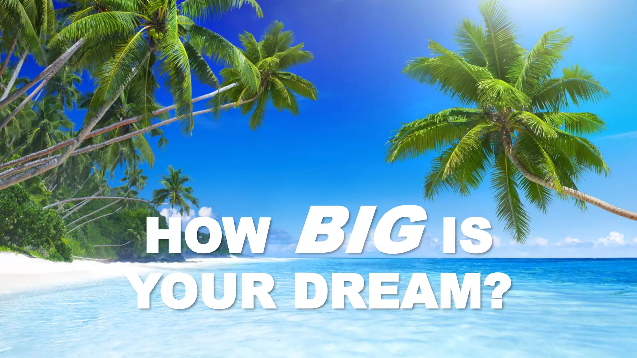 HOW BIG IS
YOUR DREAM?
    ©2013 ViSalus, Inc. All rights reserved.
 