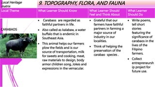 Local Heritage
matrix
9. TOPOGRAPHY, FLORA, AND FAUNA
Local Theme What Learner Should Know What Learner Should
Feel and Think About
What Learner
Should Do
CARABAOS
 Carabaos are regarded as
faithful partners in life.
 Also called as kalabaw, a water
buffalo that is endemic in
Southeast Asia.
 This animal helps our farmers
plow the fields and is our
source of transportation, milk
for sweets and cooking, meat,
raw materials to design, body
armor children song, Jokes and
expressions in the vernacular.
 Grateful that our
farmers have faithful
partners in farming a
major source of
industry in our
localities.
 Think of helping the
preservation of the
carabao species .
 Write poems,
tell short
stories
featuring the
significance of
carabaos in the
lives of the
Filipino
farmers.
 Collect
entrepreneursh
ip project for
future use.
 