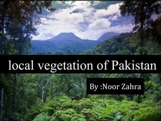 local vegetation of Pakistan
By :Noor Zahra
 