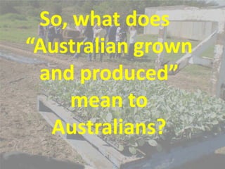 Local vs. Imported food – Just what does it mean to Australia by ...