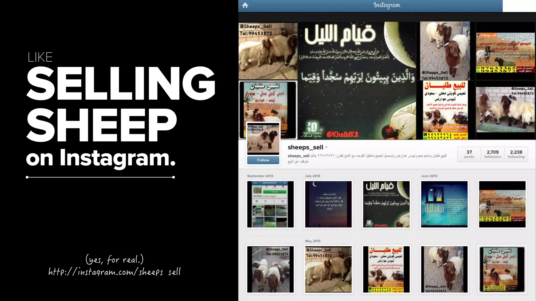 LIKE 
SELLING 
SHEEP 
on Instagram. 

[GUHQTTGCN 
JVVRKPUVCITCOEQOUJGGRUAUGNN 
 