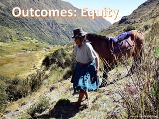 Nature-based vs. technological approaches to adaptation to climate change in the Peruvian Andes