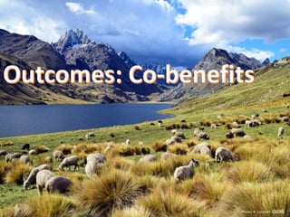 Nature-based vs. technological approaches to adaptation to climate change in the Peruvian Andes