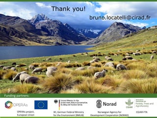 Nature-based vs. technological approaches to adaptation to climate change in the Peruvian Andes