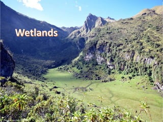 Nature-based vs. technological approaches to adaptation to climate change in the Peruvian Andes