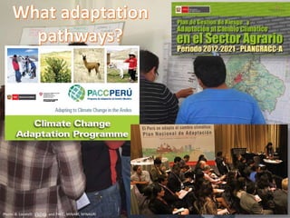 Nature-based vs. technological approaches to adaptation to climate change in the Peruvian Andes