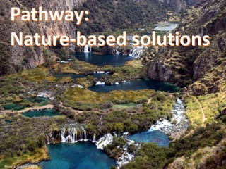 Nature-based vs. technological approaches to adaptation to climate change in the Peruvian Andes