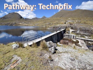 Nature-based vs. technological approaches to adaptation to climate change in the Peruvian Andes