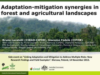 Adaptation-mitigation synergies in
forest and agricultural landscapes

Bruno Locatelli (CIRAD-CIFOR), Giacomo Fedele (CIFOR)

With contributions by Florie Chazarin, Emilia Pramova (CIFOR), Charlotte Pavageau (CIFOR &
ETH Switzerland), Rico Kongsager (U Copenhagen Denmark), Monica di Gregorio (U Leeds, UK),
Virginie Fayolle, Alastair Baglee (Acclimatise, UK)

Side event on “Linking Adaptation and Mitigation to Address Multiple Risks: New
Research Findings and Field Examples”. Warsaw, Poland, 14 November 2013.

 